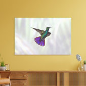 Mango Hummingbird Anthracocorax Canvas Afdruk (Insitu (Woonkamer))