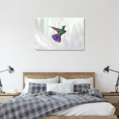 Mango Hummingbird Anthracocorax Canvas Afdruk (Insitu (Slaapkamer))