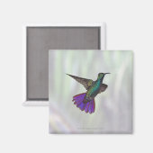 Mango Hummingbird Anthracocorax Magneet (Voorkant / Achterkant)
