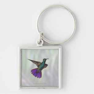 Mango Hummingbird Anthracocorax Sleutelhanger