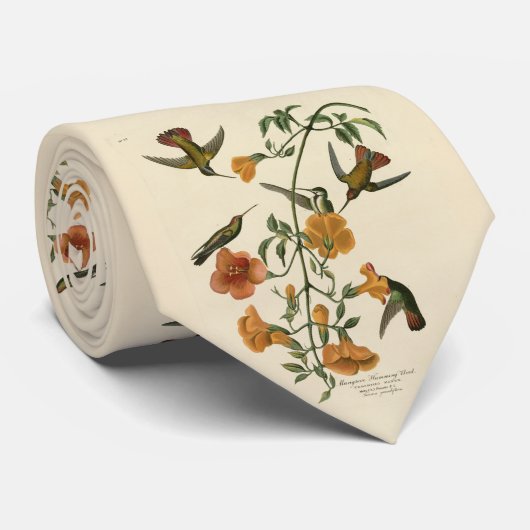 Mango Hummingbird van Audubon's Birds of America Stropdas (Opgerold)