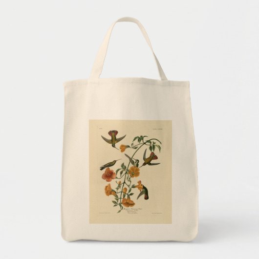 Mango Hummingbird van Audubon's Birds of America Tote Bag (Voorkant)
