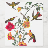 Mango Hummingbird van John James Audubon Wijn Etiket (Enkel label)