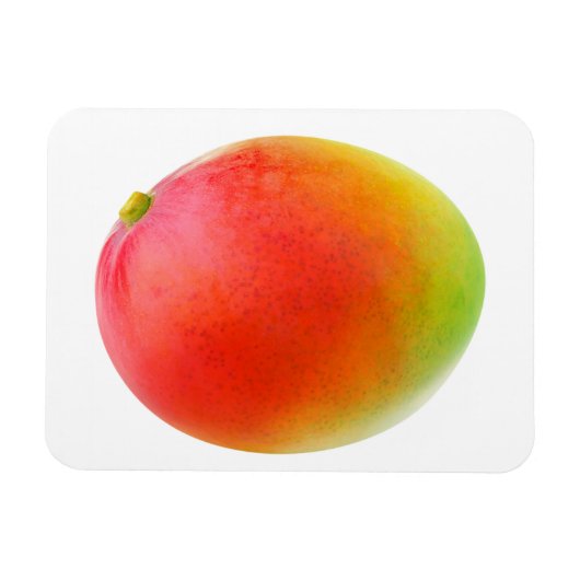 Mango Magneet (Horizontaal)