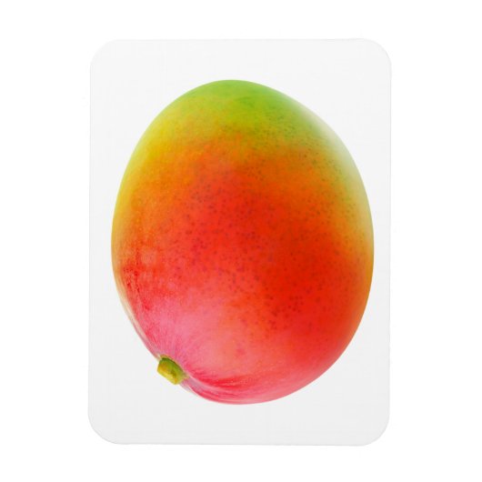 Mango Magneet (Verticaal)