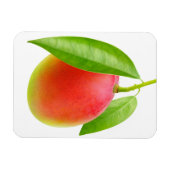 Mango Magneet (Horizontaal)