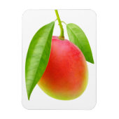 Mango Magneet (Verticaal)