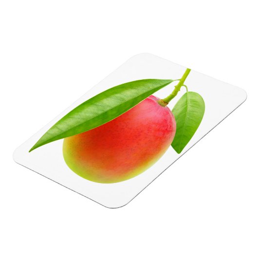 Mango Magneet (Linkerzijde)