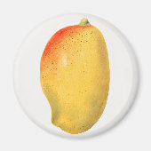 Mango Magneet (Voorkant)