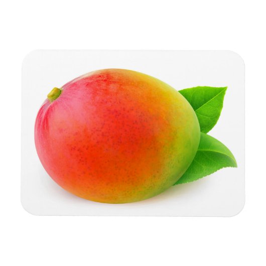 Mango Magneet (Horizontaal)