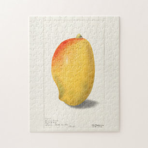 Mango (Mangifera Indica) Waterverf van fruit Legpuzzel