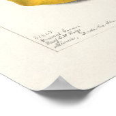 Mango (Mangifera Indica) Waterverf van fruit Poster (Hoek)