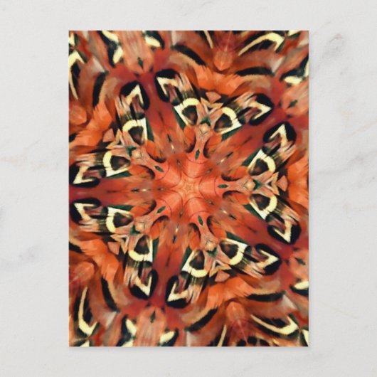 Mango Pheasant Feather Kaleidoscope Mandala Briefkaart (Voorkant)