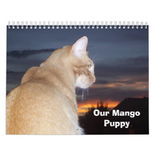 Mango Puppy Kalender