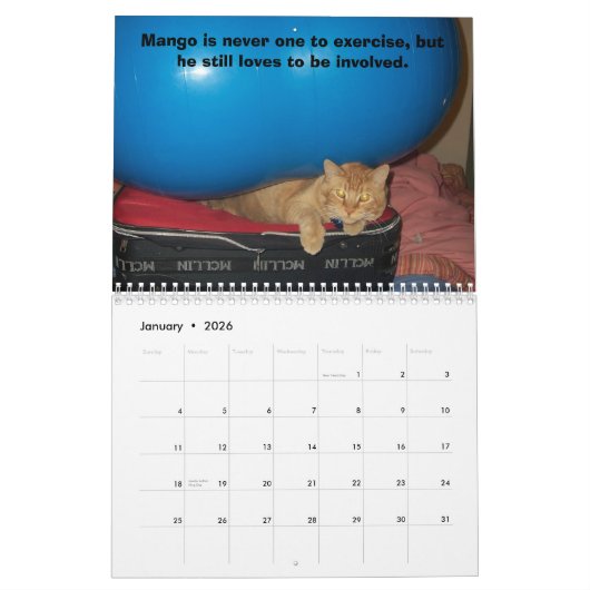 Mango Puppy Kalender (Jan 2026)