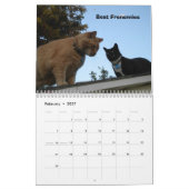 Mango Puppy Kalender (Feb 2027)