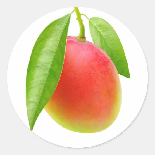 Mango Ronde Sticker (Voorkant)