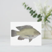 Mango Tilapia Briefkaart (Staand voorkant)