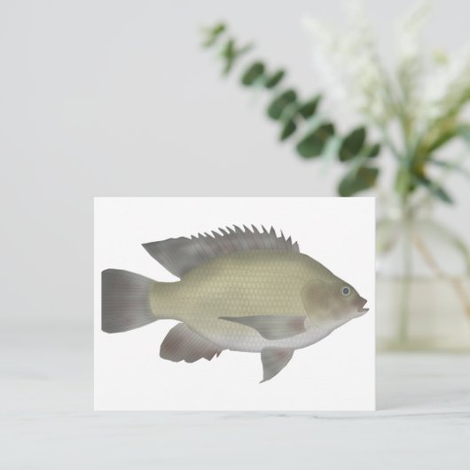Mango Tilapia Briefkaart (Staand voorkant)