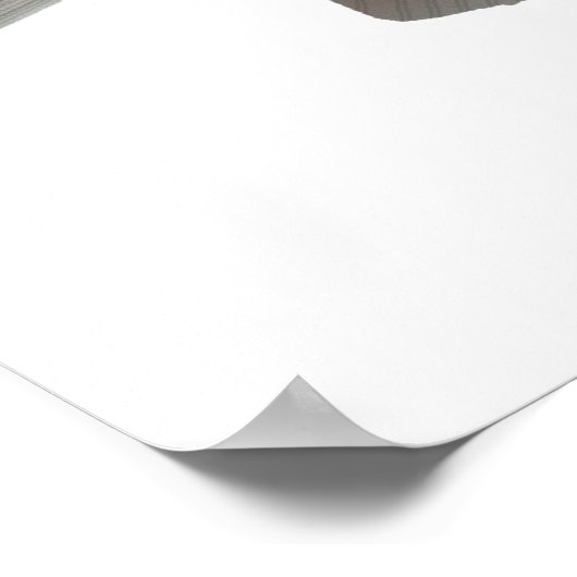 Mango Tilapia Poster (Hoek)