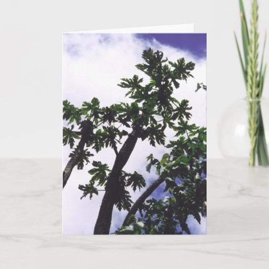 Mango Tree Kaart (Voorkant)