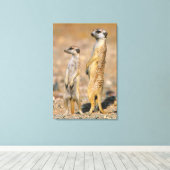 Mangoesten (Suricata Suricatta) schildwachten, Kar Canvas Afdruk (Insitu (Houten vloer))