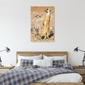 Mangoesten (Suricata Suricatta) schildwachten, Kar Canvas Afdruk (Insitu (Slaapkamer))