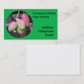 Mango's en tropische vruchten, vers visitekaartje (Voorkant / Achterkant)