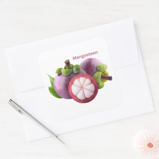 Mangosteen Fruit Sticker (Envelop)