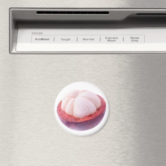 Mangosteen half magneet (Insitu (Vaatwasser))