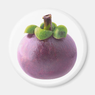 Mangosteen Magneet