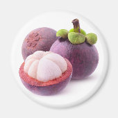Mangosteens Magneet (Voorkant)