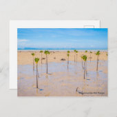 Mangrove bossen briefkaart (Voorkant / Achterkant)