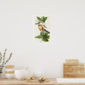 Mangrove Cuckoo door het Poster van Audubon (Keuken)