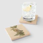 Mangrove Cuckoo uit Audubon's Birds of America Stenen Onderzetter (Zijkant)