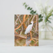 Mangrove Egret No. 2 Briefkaart (Staand voorkant)