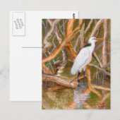 Mangrove Egret No. 2 Briefkaart (Voorkant / Achterkant)