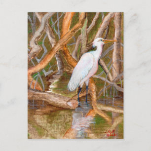 Mangrove Egret No. 2 Briefkaart