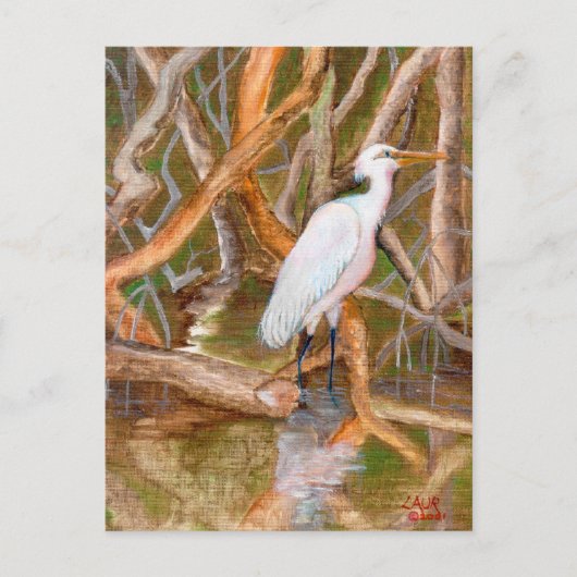 Mangrove Egret No. 2 Briefkaart (Voorkant)