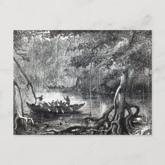 Mangrove Forest'' Briefkaart (Voorkant)