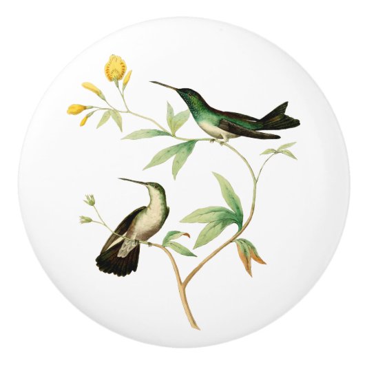 Mangrove Hummingbird Keramische Knop (Voorkant)