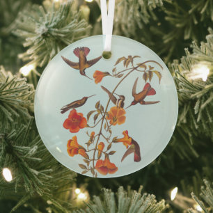 Mangrove Hummingvogels met Oranje trompetbloemen Glas Ornament