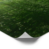 Mangrove Kayaking Poster (Hoek)