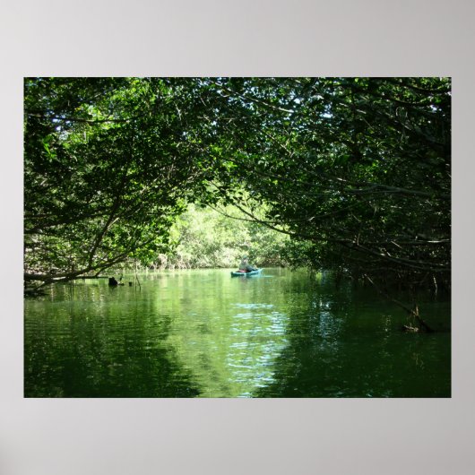 Mangrove Kayaking Poster (Voorkant)