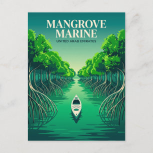 Mangrove Marine National Park Verenigde Arabische  Briefkaart