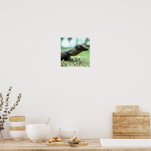 Mangrove Monitor Poster (Keuken)