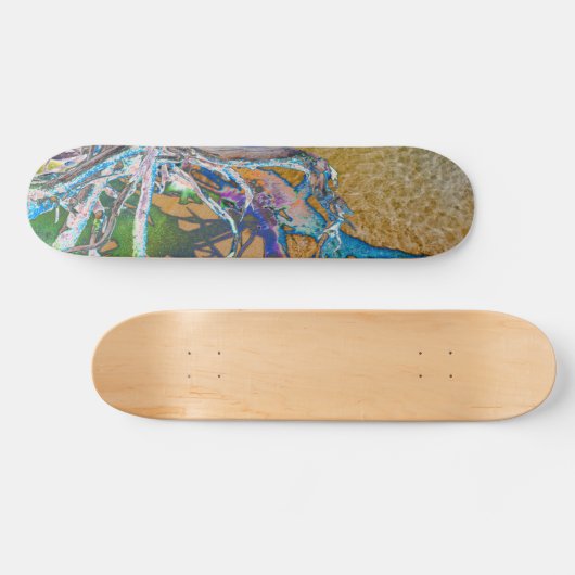 Mangrove Roots II Skateboard (Horizontaal)