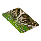 Mangrove Stilt Roots, Swamp, Everglades Magneet (Rechterzijde)