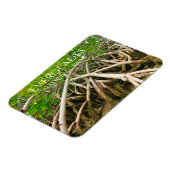 Mangrove Stilt Roots, Swamp, Everglades Magneet (Linkerzijde)