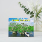 Mangrove Trees & Anhinga, Florida Everglades Briefkaart (Staand voorkant)